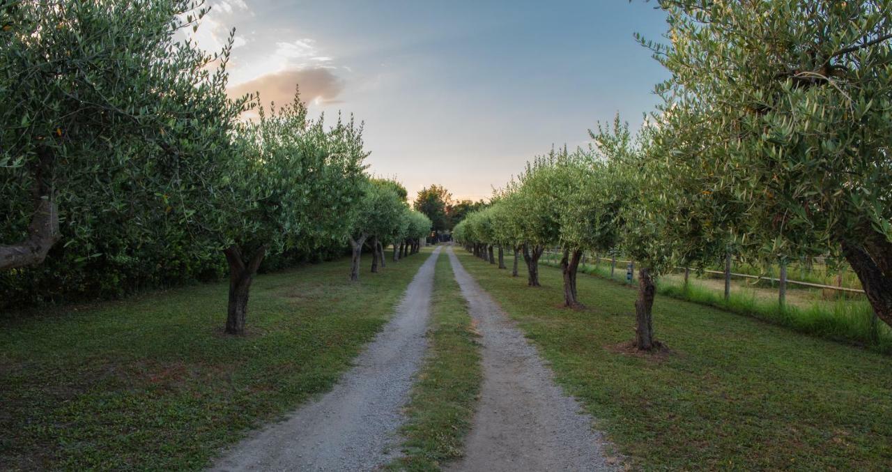 Fuori Le Mura Пестум Екстер'єр фото